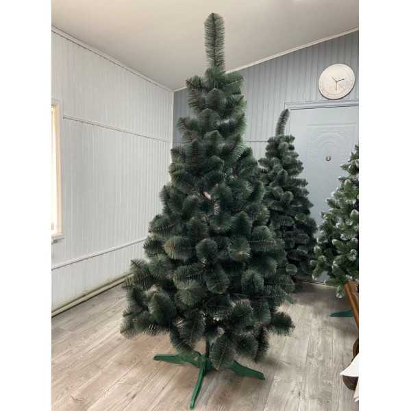 4024862416_sosna-zelyonaya-s